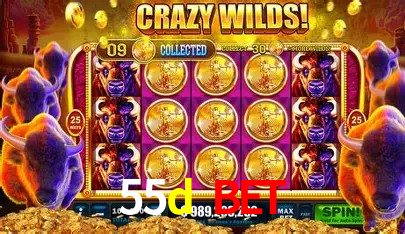 A Emoção da Loteria na 55d bet: Uma Chance de Mudança de Vida